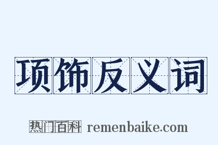 项饰反义词是什么意思的图片